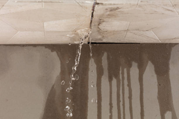 Professional Burst Pipe Cleanup technician working in East Orland, ME